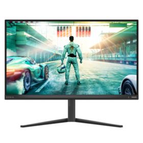 Fast IPS Gaming monitor
