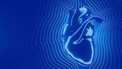 Sch&eacute;ma du c&oelig;ur