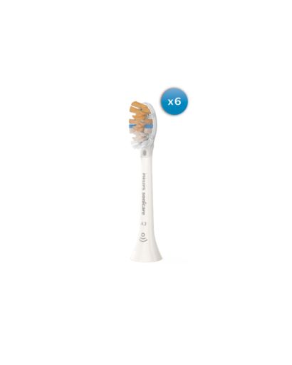 Toothbrushes heads
