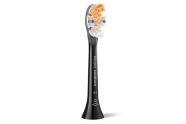 2-pack brush heads