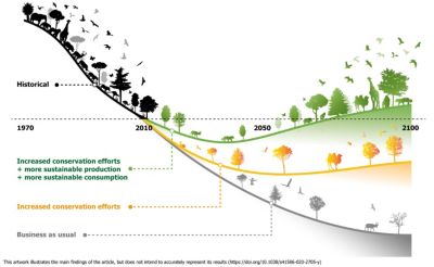 Bending the curve illustration
