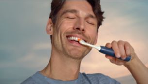 Guided brushing sessions