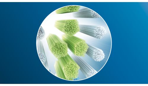 Verwijdert tot wel 100% meer oppervlaktevlekken in slechts 3 dagen*