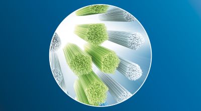 Removes up to 100% more surface stains in just 3 days*