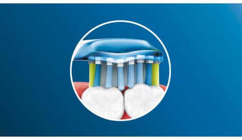 AdaptiveClean brush head flexes along your gum line