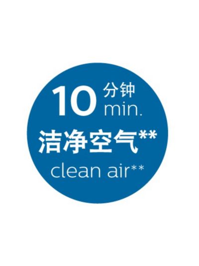 10 分钟快速净化车内空气