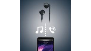 Wireless control for music enjoyment and calls