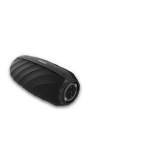 Wireless portable speaker