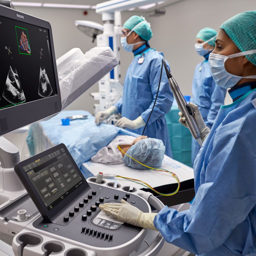 Clinician looking at ultrasound system in Hybrid OR setting holding a mini-TEE transducer. 