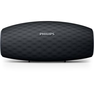 BT6900B wireless portable speaker
