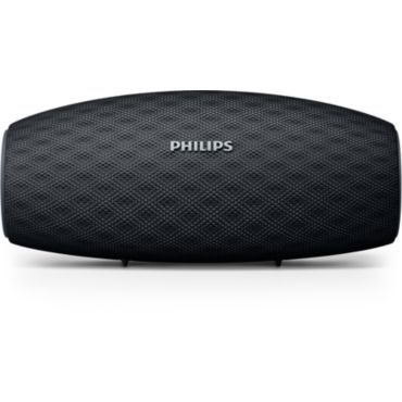 BT6900B wireless portable speaker