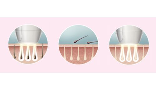 Disfruta de una piel suave a diario