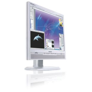 Brilliance 170P5EG LCD monitor