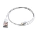 10-lead ECG AAMI/IEC, 2m, monitoring patient cable sets, lead system Trunk Cable