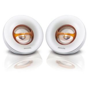 Portable Speaker System