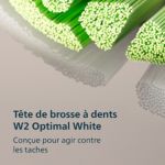 Un soin essentiel pour des dents et gencives saines