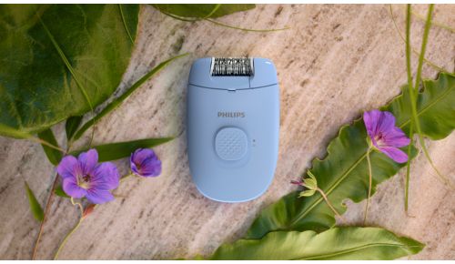 Ekologiczna gładkość