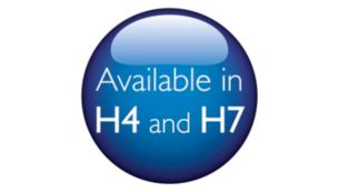 Disponible en H4 et H7, les principaux types de lampes automobiles