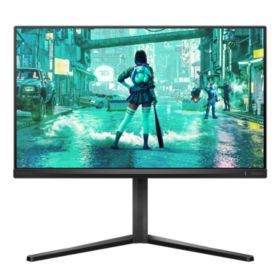 Fast IPS Gaming monitor