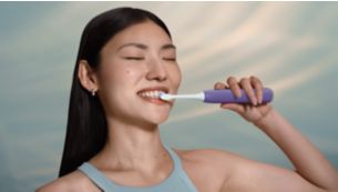 Guided brushing sessions