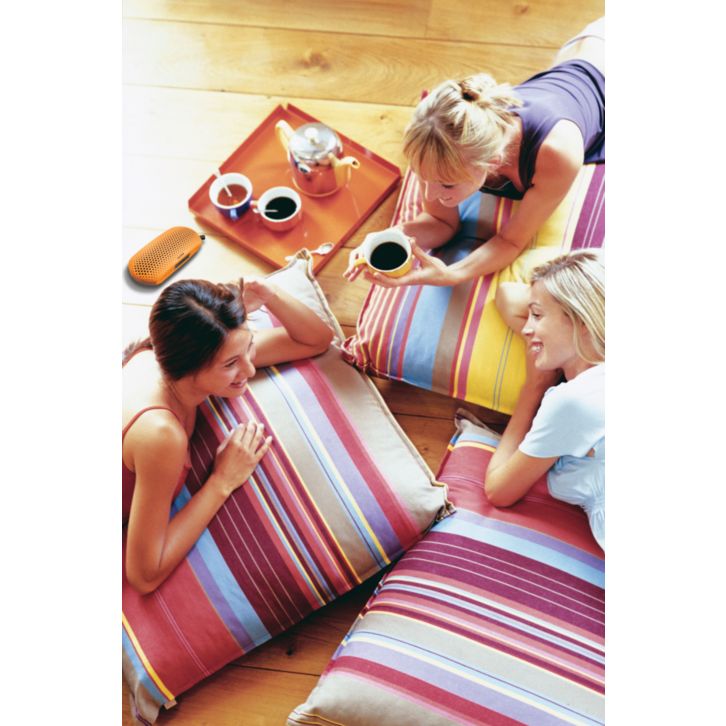 Your all-in-one portable speaker