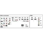 Excite your senses