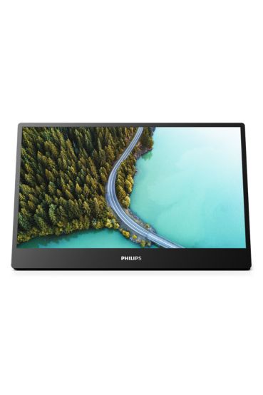 Portable monitor