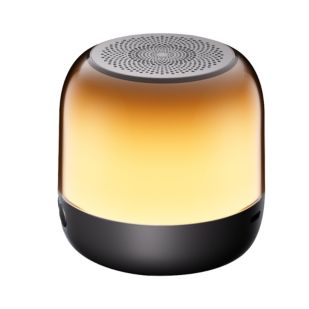 Portable speaker with light show