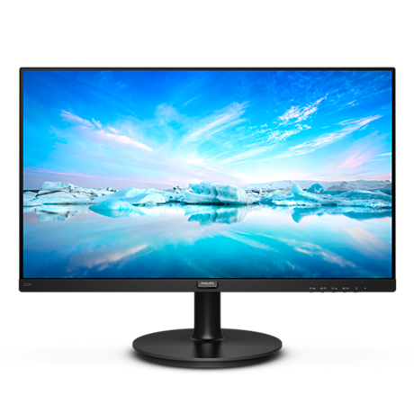 220V8/01  LCD monitor