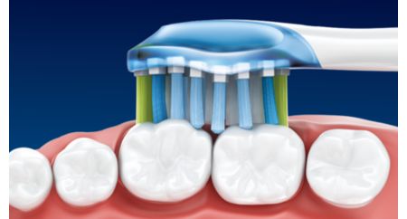 AdaptiveClean brush head