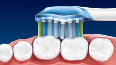 Glava ščetke AdaptiveClean