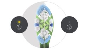 Keep brushing your best with brush head replacement reminder