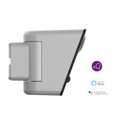Compatibile con gli assistenti vocali