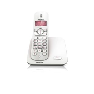 Perfect sound CD1701P Cordless phone