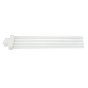 Ampoule