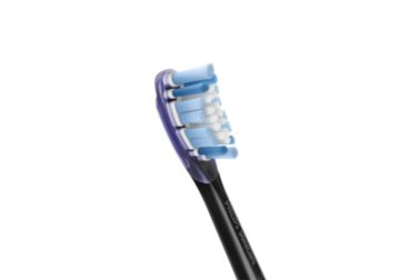 Standard sonic toothbrush heads