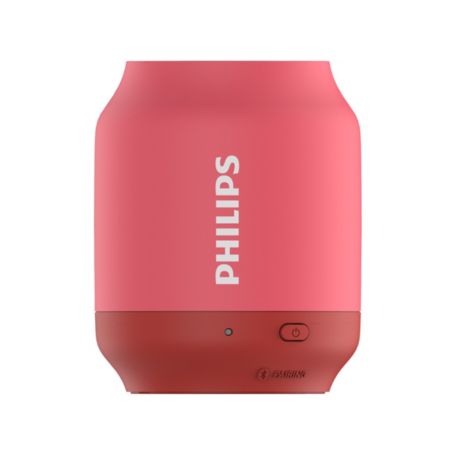 BT51P/00  wireless portable speaker