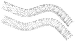 Duo Venous Stent System 