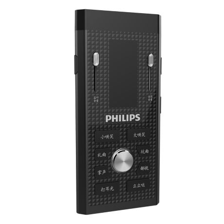 DLM9313CB/93  声卡