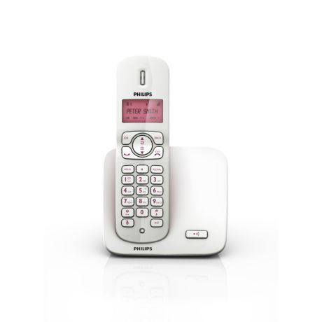 CD1701P/38 Perfect sound Schnurloses Telefon