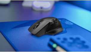 Forward And Back Buttons For Quick Web Navigation