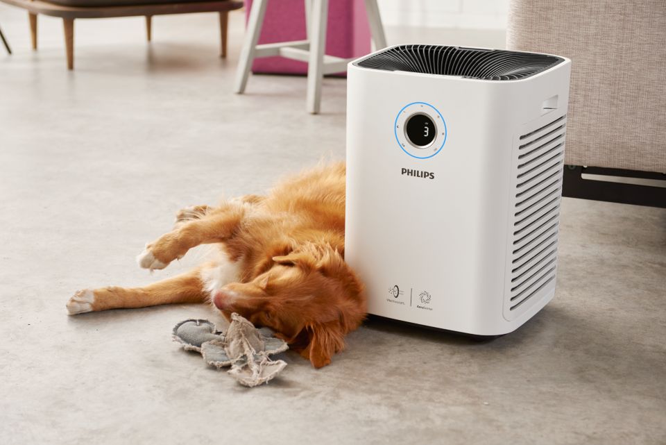 Philips air purifier series shop 5000i