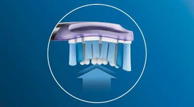 Up to 7 x healthier gums in just 2 weeks***