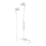 Vedno bogati nizki toni