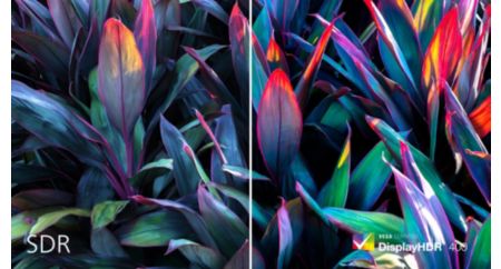 Daha gerçekçi ve olağanüstü görseller için DisplayHDR 400