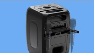 Mic inputs and stands