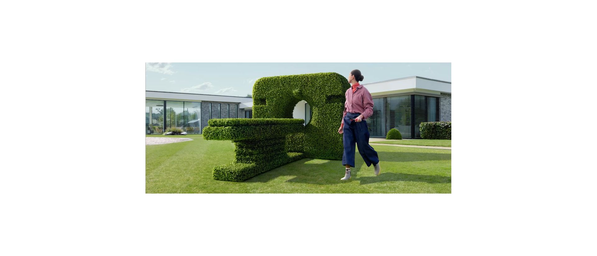 ct shape topiary