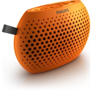 Portable speaker