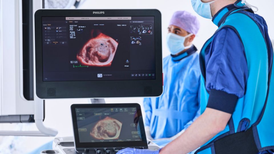 Structural heart disease procedure