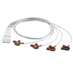 Enlarged view of picture